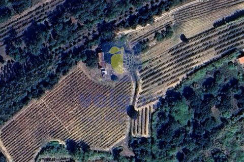 Farm i Obidos, Leiria, Obidos - € 350.000 | Ref: CAL-217010 - foto 33
