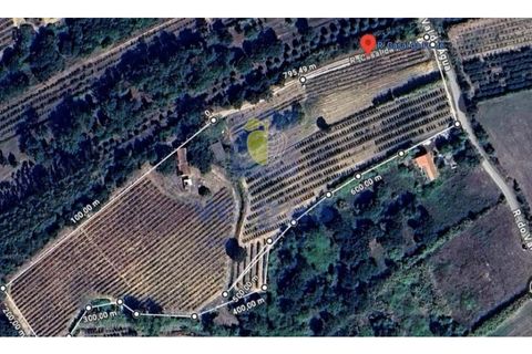 Farm i Obidos, Leiria, Obidos - € 350.000 | Ref: CAL-217010 - foto 34