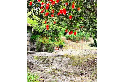Farm i Amarante, Porto, Amarante - € 395.000 | Ref: SAFTI:007563 - foto 3