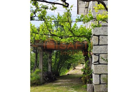 Farm i Amarante, Porto, Amarante - € 395.000 | Ref: SAFTI:007563 - foto 14
