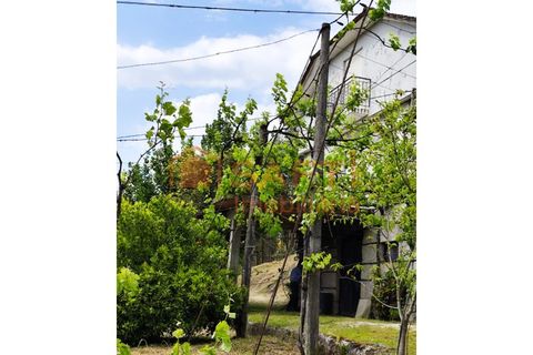 Farm i Amarante, Porto, Amarante - € 395.000 | Ref: SAFTI:007563 - foto 17
