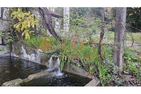 Farm i Amarante, Porto, Amarante - € 395.000 | Ref: SAFTI:007563 - foto 20