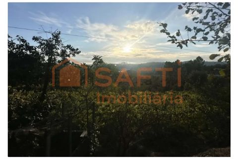 Farm i Amarante, Porto, Amarante - € 395.000 | Ref: SAFTI:007563 - foto 21