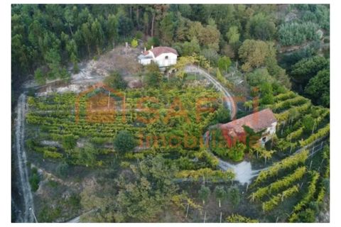 Farm i Amarante, Porto, Amarante - € 395.000 | Ref: SAFTI:007563 - foto 22