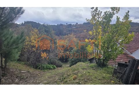 Farm i Amarante, Porto, Amarante - € 395.000 | Ref: SAFTI:007563 - foto 24