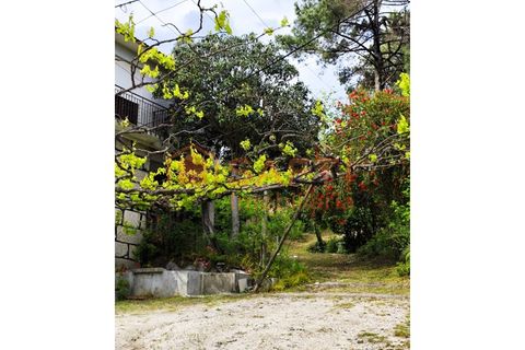 Farm i Amarante, Porto, Amarante - € 395.000 | Ref: SAFTI:007563 - foto 26