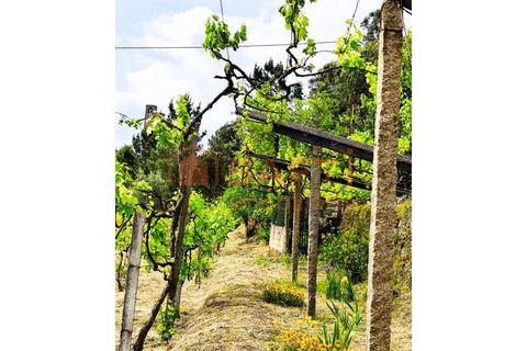 Farm i Amarante, Porto, Amarante - € 395.000 | Ref: SAFTI:007563 - foto 27