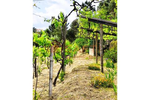 Farm i Amarante, Porto, Amarante - € 395.000 | Ref: SAFTI:007563 - foto 28