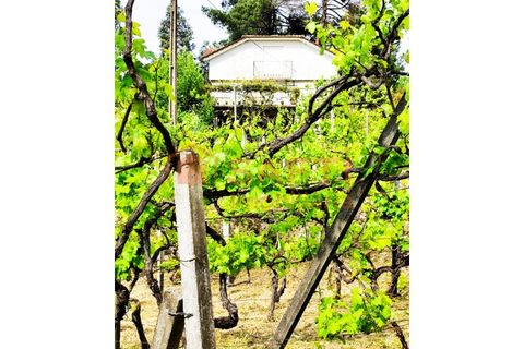 Farm i Amarante, Porto, Amarante - € 395.000 | Ref: SAFTI:007563 - foto 31