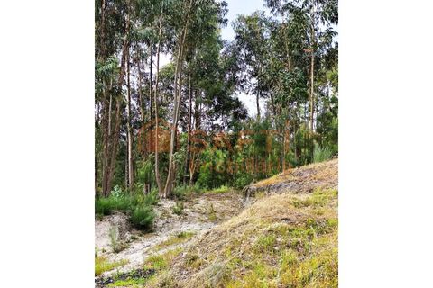 Farm i Amarante, Porto, Amarante - € 395.000 | Ref: SAFTI:007563 - foto 32