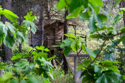 Villa a Meyreuil, Bouches-du-Rhone, Meyreuil - € 1.020.000 | Ref: HH-16012859 - foto 3
