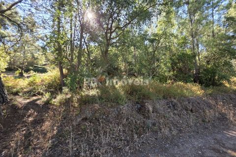 Helårsgrund i Serra, Santarem, Serra - € 150.000 | Ref: 01720-25 - foto 11