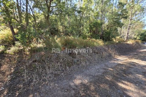 Helårsgrund i Serra, Santarem, Serra - € 150.000 | Ref: 01720-25 - foto 12