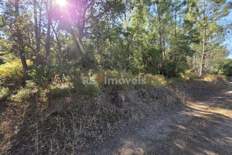 Helårsgrund i Serra, Santarem, Serra - € 150.000 | Ref: 01720-25 - foto 13