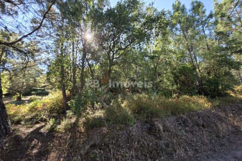 Helårsgrund i Serra, Santarem, Serra - € 150.000 | Ref: 01720-25 - foto 14