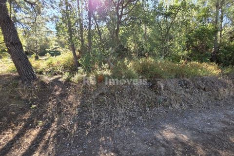 Helårsgrund i Serra, Santarem, Serra - € 150.000 | Ref: 01720-25 - foto 15