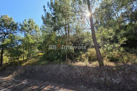 Helårsgrund i Serra, Santarem, Serra - € 150.000 | Ref: 01720-25 - foto 10