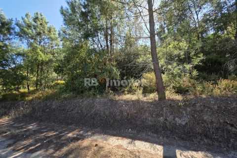 Helårsgrund i Serra, Santarem, Serra - € 150.000 | Ref: 01720-25 - foto 16
