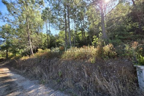 Helårsgrund i Serra, Santarem, Serra - € 150.000 | Ref: 01720-25 - foto 18