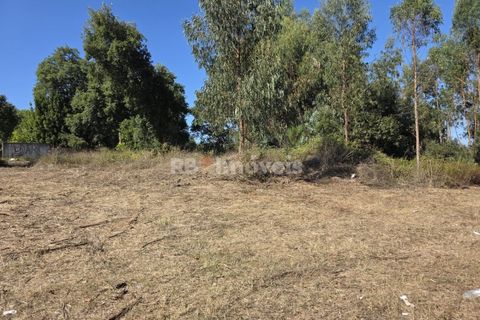 Helårsgrund i Serra, Santarem, Serra - € 150.000 | Ref: 01720-25 - foto 19