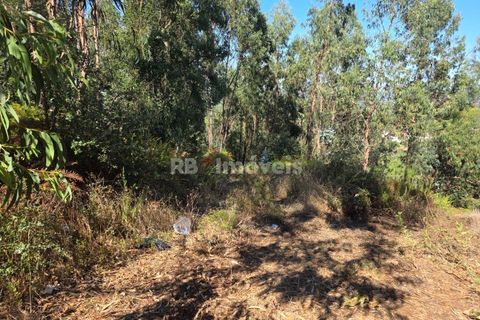Helårsgrund i Serra, Santarem, Serra - € 150.000 | Ref: 01720-25 - foto 21