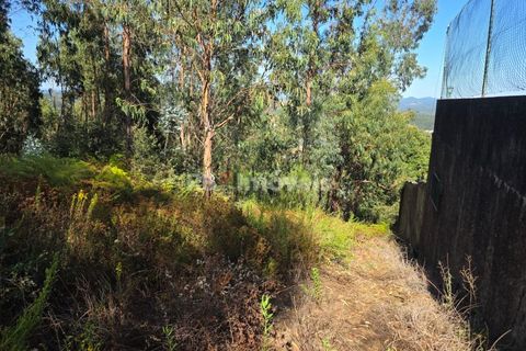 Helårsgrund i Serra, Santarem, Serra - € 150.000 | Ref: 01720-25 - foto 22