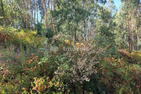 Helårsgrund i Serra, Santarem, Serra - € 150.000 | Ref: 01720-25 - foto 23