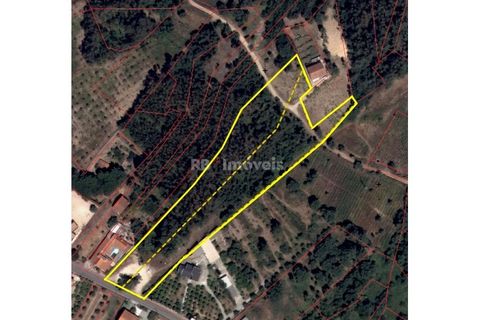 Helårsgrund i Serra, Santarem, Serra - € 150.000 | Ref: 01720-25 - foto 4