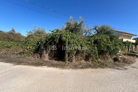 Helårsgrund i Tomar, Santarem, Tomar - € 7.100 | Ref: 01717-25 - foto 2