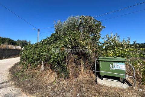 Helårsgrund i Tomar, Santarem, Tomar - € 7.100 | Ref: 01717-25 - foto 3