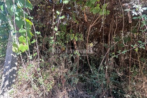 Helårsgrund i Tomar, Santarem, Tomar - € 7.100 | Ref: 01717-25 - foto 5