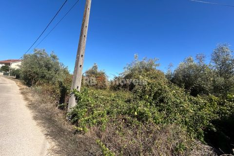 Helårsgrund i Tomar, Santarem, Tomar - € 7.100 | Ref: 01717-25 - foto 1