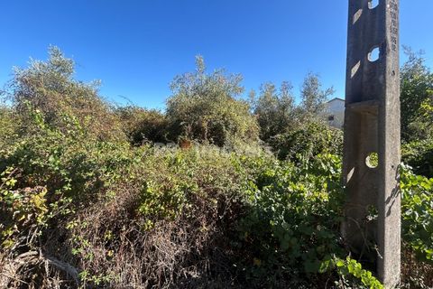 Helårsgrund i Tomar, Santarem, Tomar - € 7.100 | Ref: 01717-25 - foto 8