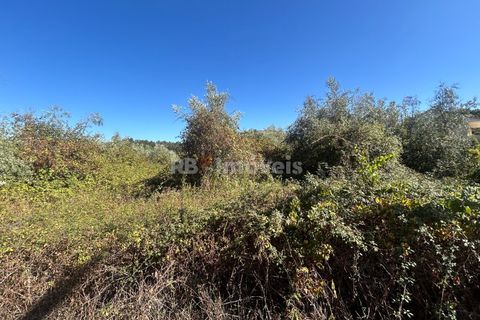 Helårsgrund i Tomar, Santarem, Tomar - € 7.100 | Ref: 01717-25 - foto 10