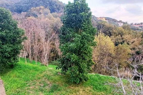 Byhus i Acquappesa, Cosenza, Acquappesa - € 55.000 | Ref: 1446 - foto 12