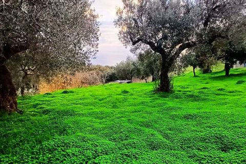Byhus i Acquappesa, Cosenza, Acquappesa - € 55.000 | Ref: 1446 - foto 14
