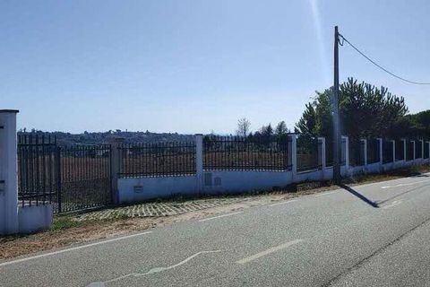 Farm i Seia, Guarda, Seia - € 525.000 | Ref: 773890 - foto 2