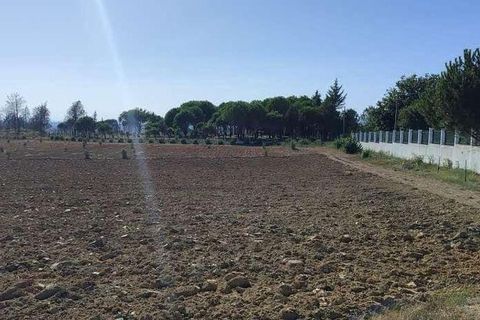 Farm i Seia, Guarda, Seia - € 525.000 | Ref: 773890 - foto 3