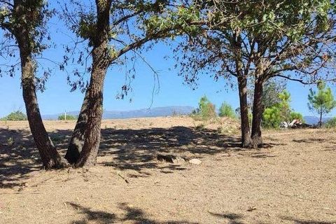 Farm i Seia, Guarda, Seia - € 525.000 | Ref: 773890 - foto 4