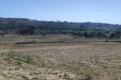 Farm i Seia, Guarda, Seia - € 525.000 | Ref: 773890 - foto 7