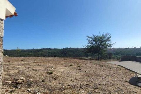 Farm i Seia, Guarda, Seia - € 525.000 | Ref: 773890 - foto 9