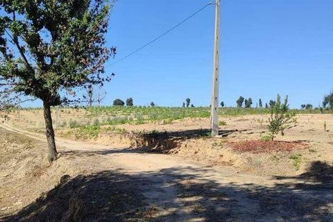 Farm i Seia, Guarda, Seia - € 525.000 | Ref: 773890 - foto 17