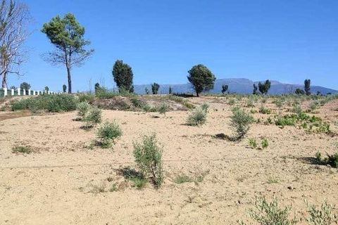 Farm i Seia, Guarda, Seia - € 525.000 | Ref: 773890 - foto 19