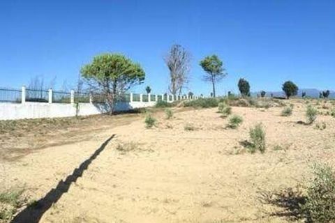 Farm i Seia, Guarda, Seia - € 525.000 | Ref: 773890 - foto 20