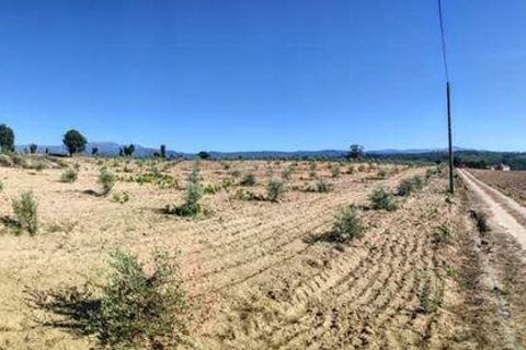 Farm i Seia, Guarda, Seia - € 525.000 | Ref: 773890 - foto 22