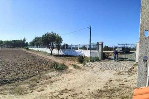 Farm i Seia, Guarda, Seia - € 525.000 | Ref: 773890 - foto 23