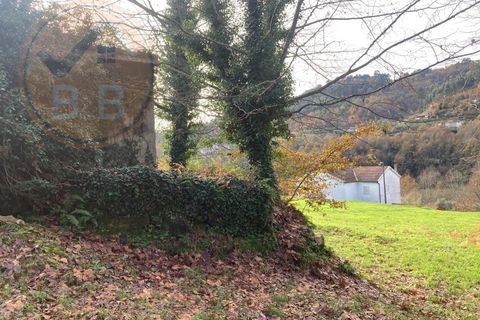 Villa a Cabeceiras de Basto, Braga, Cabeceiras de Basto - € 80.000 | Ref: CAS_191 - foto 2