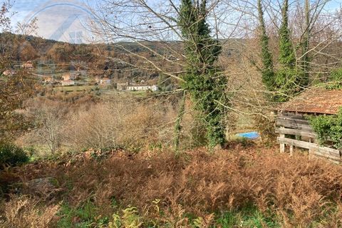 Villa a Cabeceiras de Basto, Braga, Cabeceiras de Basto - € 80.000 | Ref: CAS_191 - foto 6