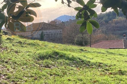 Villa i Cabeceiras de Basto, Braga, Cabeceiras de Basto - € 120.000 | Ref: CAS_190 - foto 24