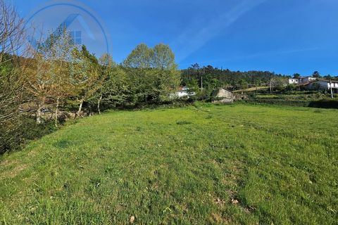 Villa i Cabeceiras de Basto, Braga, Cabeceiras de Basto - € 120.000 | Ref: CAS_190 - foto 21